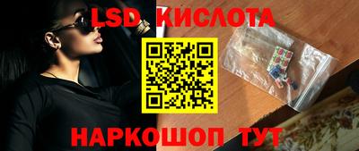 шишки Камышлов