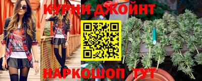шишки Камышлов