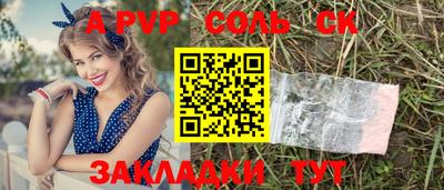 шишки Камышлов