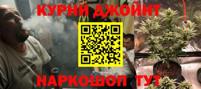 прущие грибы Канаш
