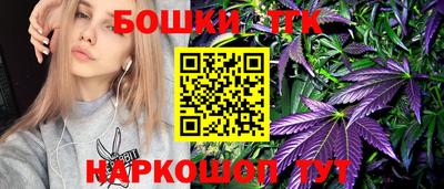 шишки Камышлов