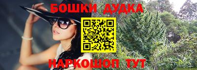 прущие грибы Канаш