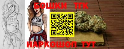 шишки Камышлов