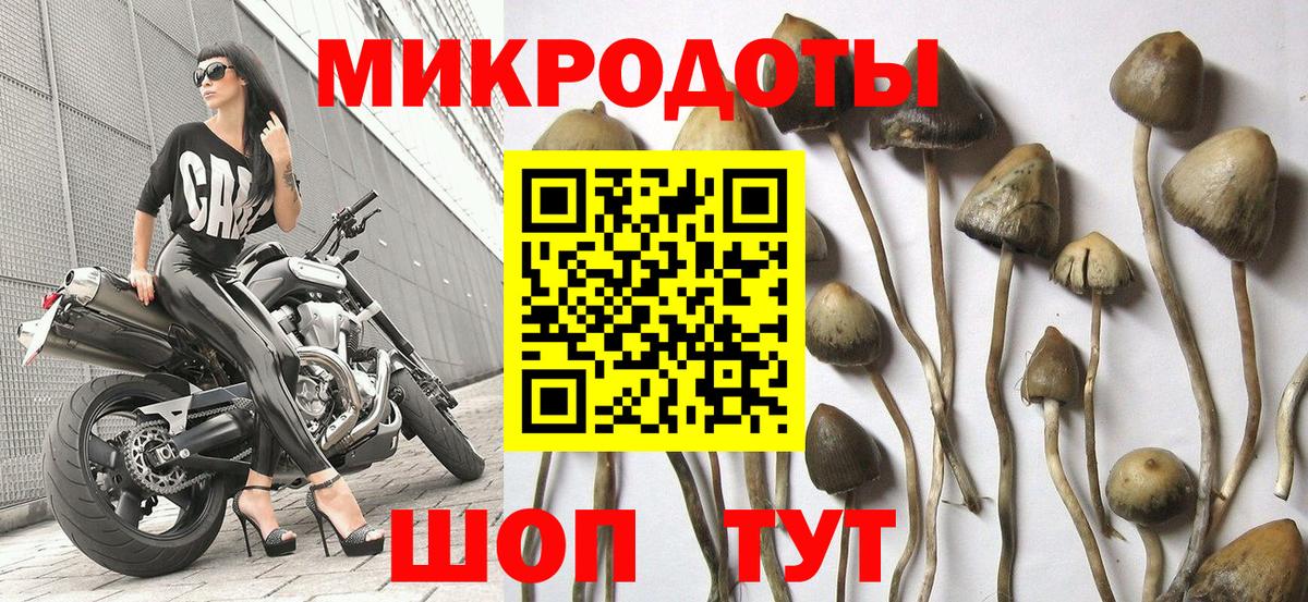Кубинка  Галлюциногенные грибы ЛСД  Вход с VPN 