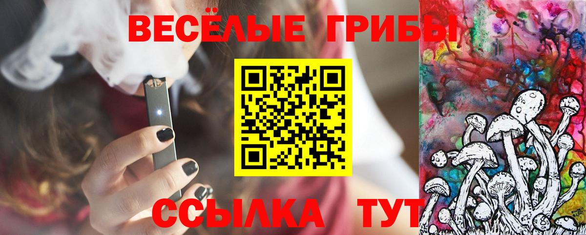 Галлюциногенные грибы Magic Shrooms Кубинка